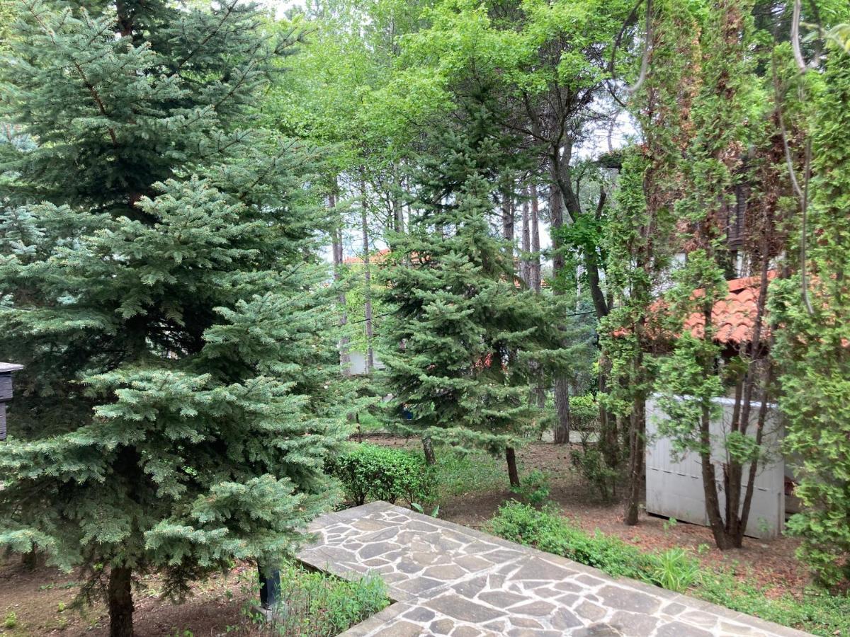 Lovely Apartment Santa Marina Sozopol Exterior photo